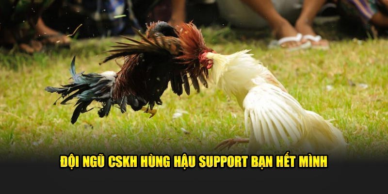 Đội ngũ CSKH hùng hậu support bạn hết mình 