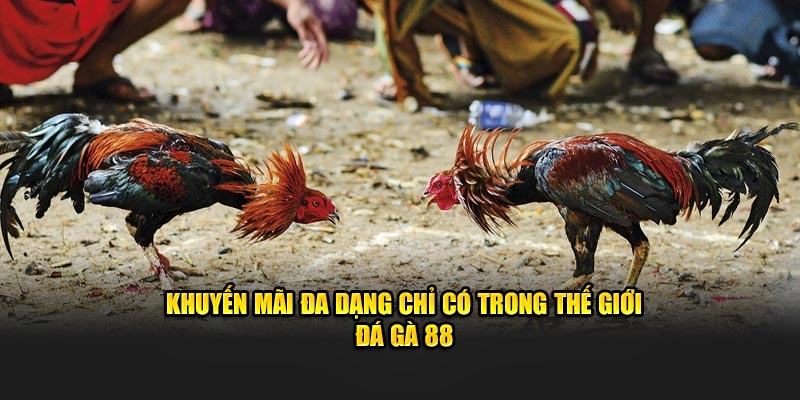 Khuyến mãi đa dạng chỉ có trong thế giới 88