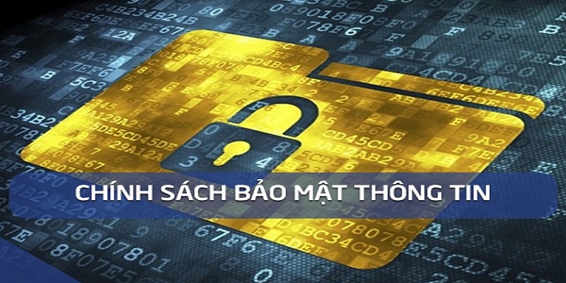 Trách nhiệm của người chơi khi tham gia cá cược